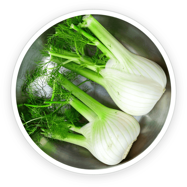 Fennel ingredient