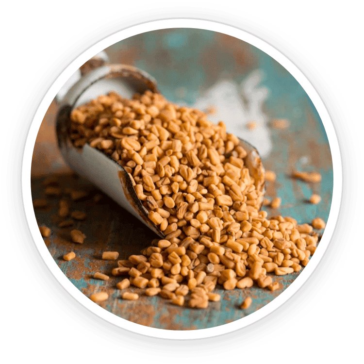 Fenugreek ingredient