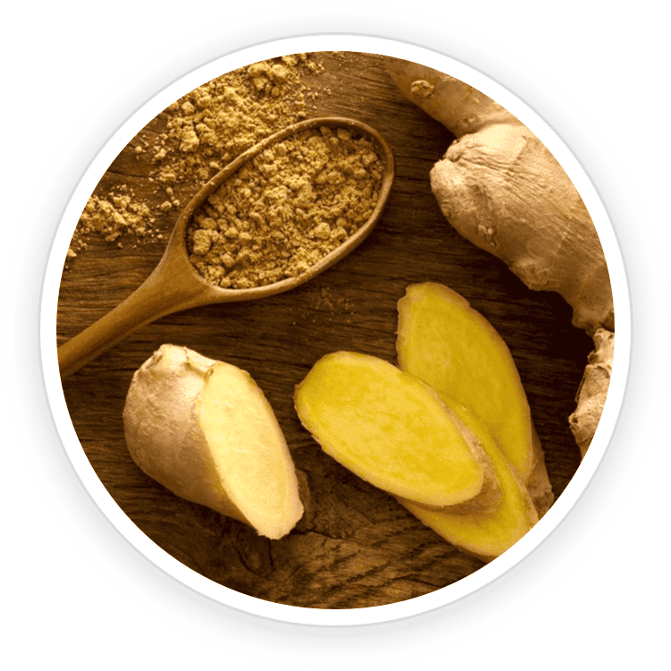 Organic Ceylon Ginger ingredient